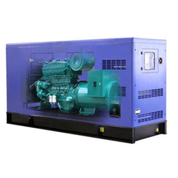 發(fā)電機(jī)組,沃爾特新能源,發(fā)電機(jī)組租賃